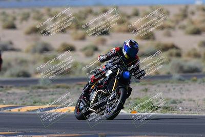 media/Apr-14-2024-SoCal Trackdays (Sun) [[70f97d3d4f]]/1-Turn 5 Tree of Life (920am)/